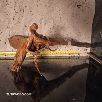 Tuskwood aquarium root in real bogwood