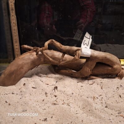 Tuskwood akvarierod i ægte mosetræ