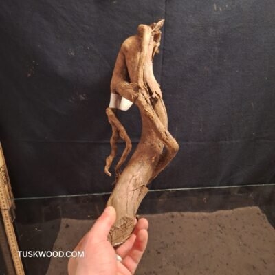 Tuskwood akvarierod i ægte mosetræ