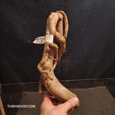 Tuskwood akvarierod i ægte mosetræ