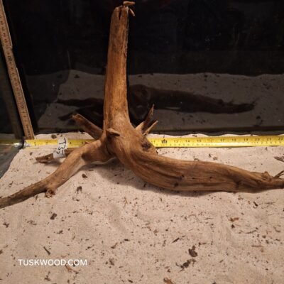 Tuskwood akvarierod i ægte mosetræ