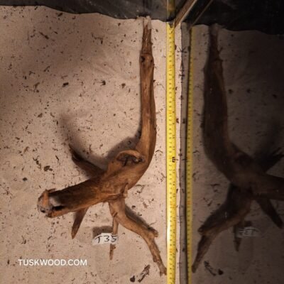 Tuskwood akvarierod i ægte mosetræ