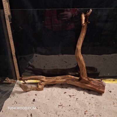 Tuskwood akvarierod i ægte mosetræ