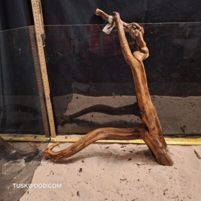 Tuskwood akvarierod i ægte mosetræ