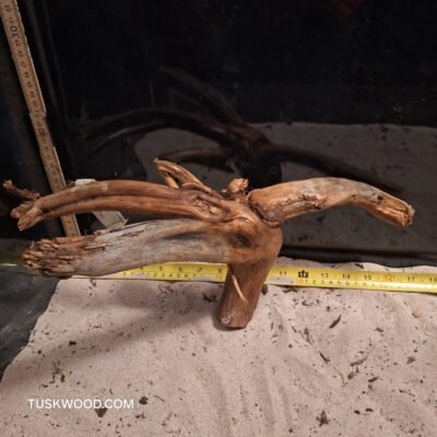 Tuskwood akvarierod i ægte mosetræ