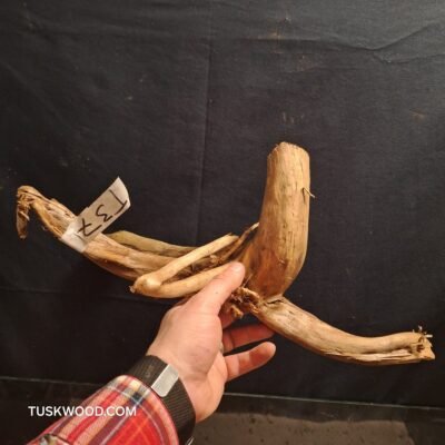 Tuskwood akvarierod i ægte mosetræ