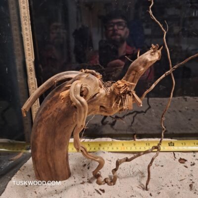 Tuskwood akvarierod i ægte mosetræ