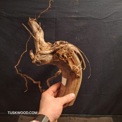 Tuskwood akvarierod i ægte mosetræ