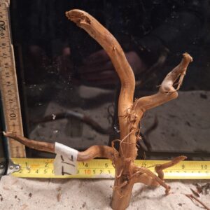 Äkta bogwood för akvarium och aquascaping, naturligt och unikt trä för vackra vattenlandskap.