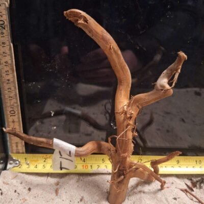 Äkta bogwood för akvarium och aquascaping, naturligt och unikt trä för vackra vattenlandskap.