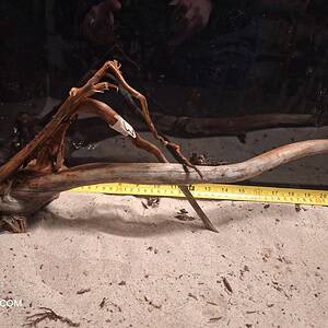 Real bogwood for aquascaping, perfect for creating natural aquarium landscapes.