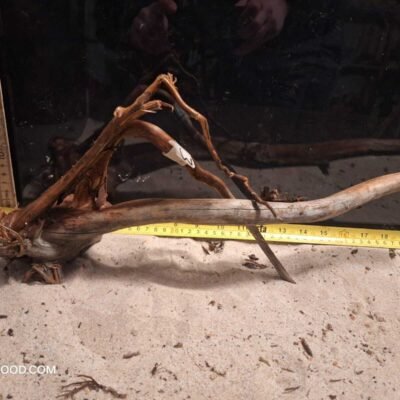 Äkta bogwood för aquascaping, perfekt för att skapa naturliga akvarielandskap.