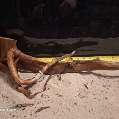 Tuskwood akvarierod i ægte mosetræ