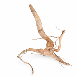 ID8 Tuskwood Stump with roots - 30-40 L Hög Stubbe - Äkta Mossträ Akvarierot