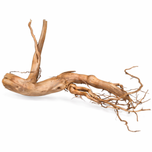ID18 Tuskwood Branched root 50-70 XXL - Äkta Mossträ Akvarierot