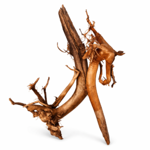 ID5 Tuskwood Stump with roots - 10-20 - Äkta Mossträ Akvarierot 2-pcs set