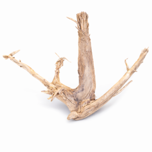 ID13 Tuskwood Stump with roots - 50-70 XXL Hög stubbe - Äkta Mossträ Akvarierot