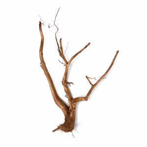 ID17 Tuskwood Branched root 40-60 XL - Äkta Mossträ Akvarierot