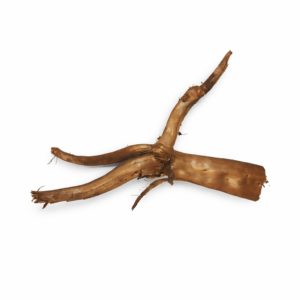 ID16 Tuskwood Branched root 30-50 L - Äkta Mossträ Akvarierot