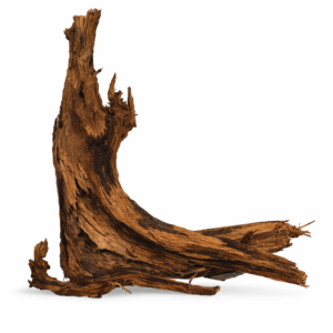ID3 Tuskwood Weathered Stump Root - 50-70 XXL - Äkta Mossträ Akvarierot