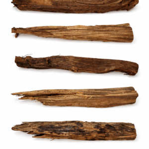 ID1 Tuskwood Weathered Log or Branch 50-70 XL - Äkta Mossträ Akvarierot 2-3 pcs set