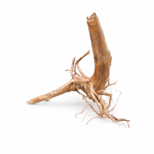 ID7 Tuskwood Stump with roots - 20-30 L Låg Stubbe - Äkta Mossträ Akvarierot