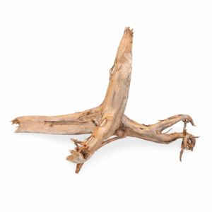 ID11 Tuskwood Stump with roots - 40-50 XL Låg stubbe - Äkta Mossträ Akvarierot