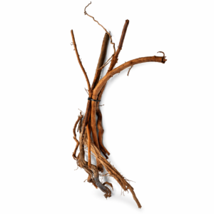 ID26 Tuskwood Single Root 30-50 XS-S 5-pack - Äkta Mossträ Akvarierot