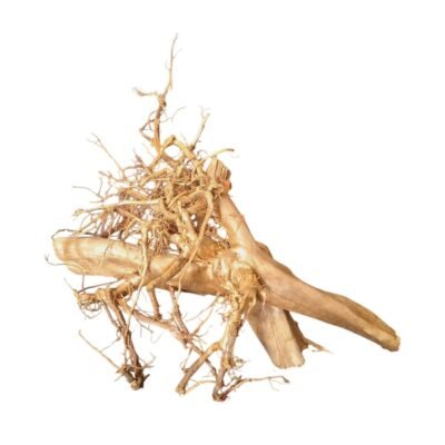 Frilagd Tuskwood akvarierot WYSIWYG äkta bogwood 63 cm P012619 mot vit bakgrund