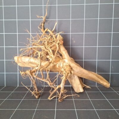 Tuskwood akvarierot äkta bogwood 63 cm P012619 sedd framifrån