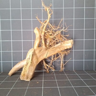 Tuskwood akvarierot äkta bogwood 63 cm P012619 sedd bakifrån