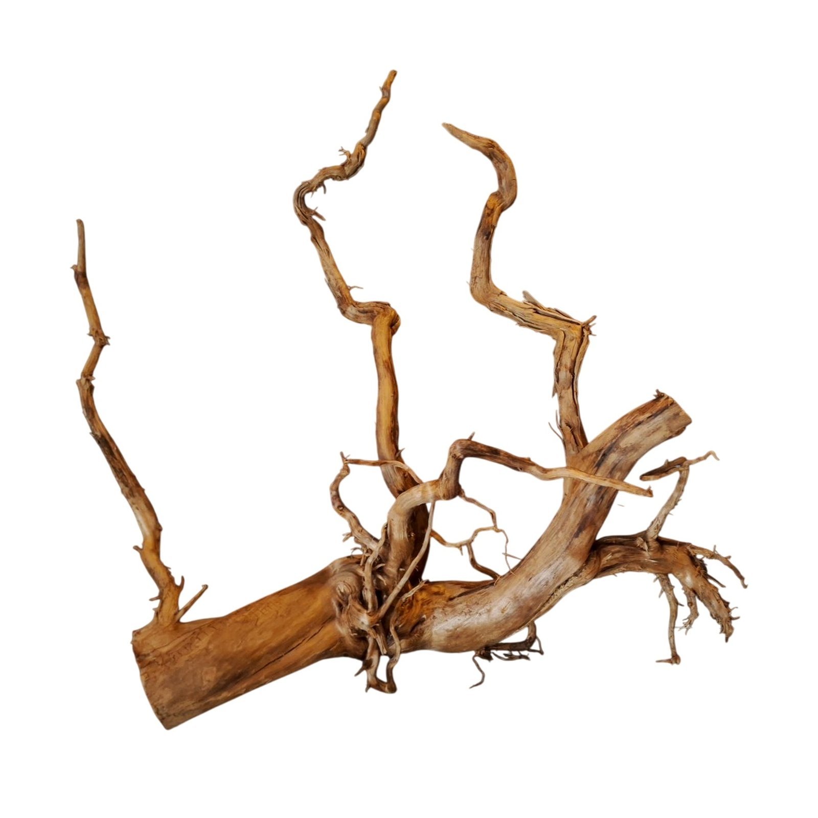 Tuskwood Akvarierot WYSIWYG Äkta Bogwood Unik 63 cm P012620 - Image 6