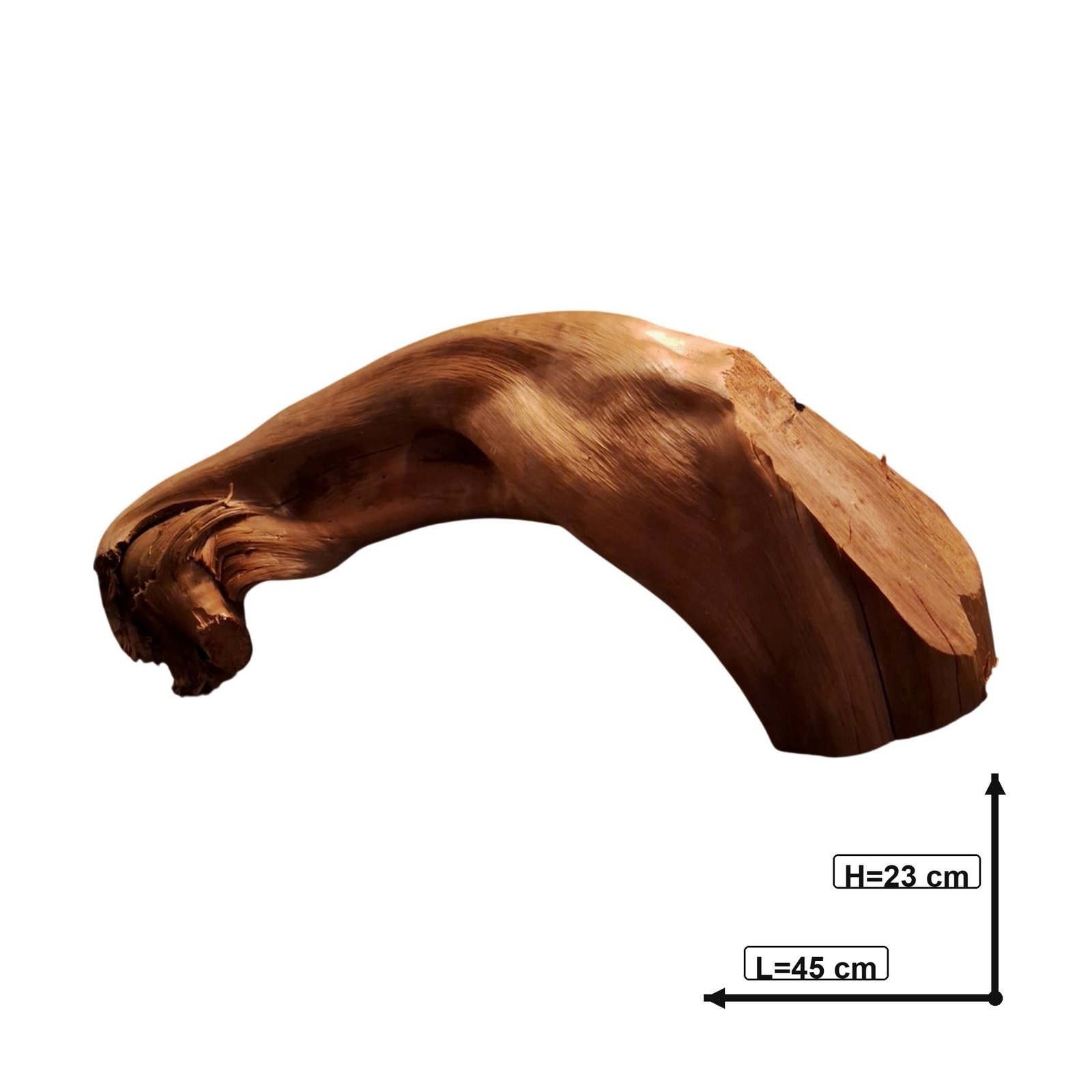 Tuskwood Akvarierot WYSIWYG Äkta Bogwood Unik 45 cm P012622 - obrazek 3