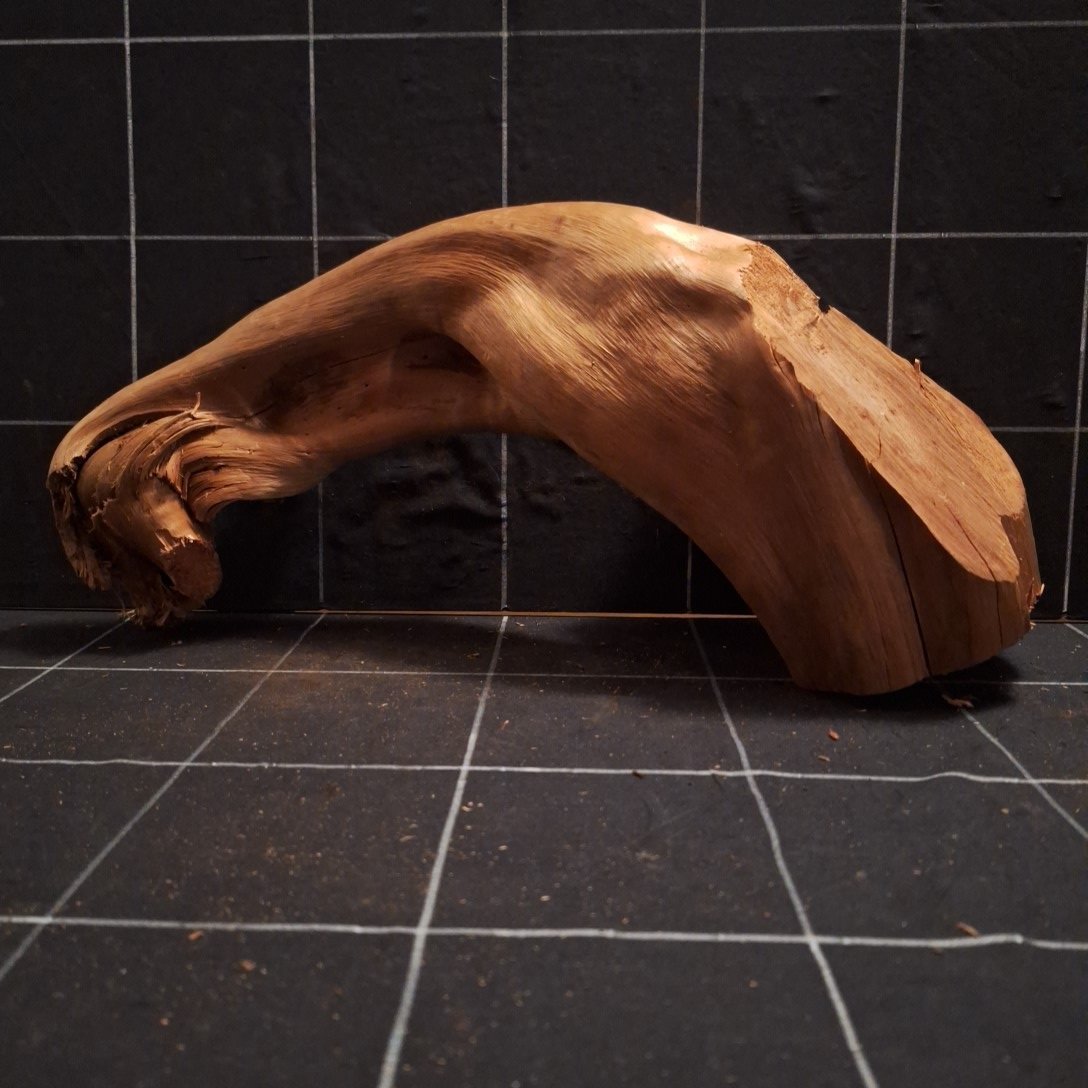 Tuskwood Akvarierot WYSIWYG Äkta Bogwood Unik 45 cm P012622 - obrazek 4