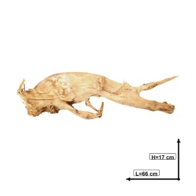 Målt billede af Tuskwood akvarierod ægte mosetræ 66 cm P022619