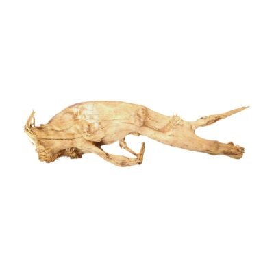 Fritstående Tuskwood akvarierod WYSIWYG ægte mosetræ 66 cm P022619 mod hvid baggrund