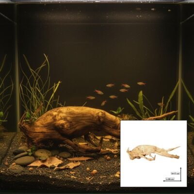 Tuskwood Akvarierot WYSIWYG Äkta Bogwood Unik 66 cm P022619