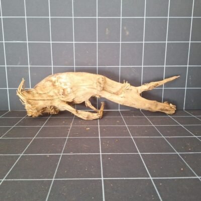 Tuskwood akvarierod ægte mosetræ 66 cm P022619 set forfra
