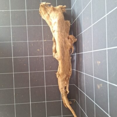 Tuskwood akvarierod ægte mosetræ 66 cm P022619 set ovenfra