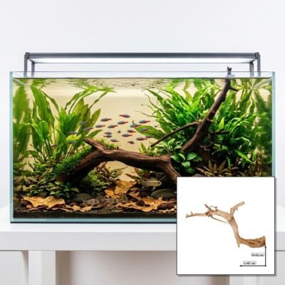 Tuskwood Akvarierot WYSIWYG Äkta Bogwood Unik 67 cm P022620