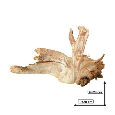 Tuskwood akvarierot i äkta bogwood, 30 cm, P032618