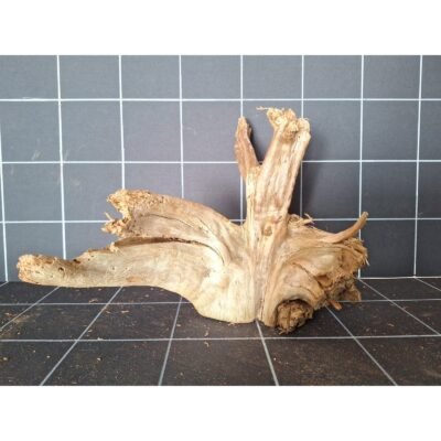 Tuskwood akvarierot i äkta bogwood, 30 cm, P032618