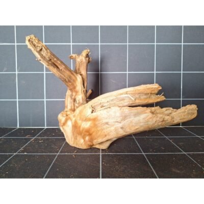 Tuskwood akvarierot i äkta bogwood, 30 cm, P032618
