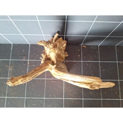 Tuskwood akvarierot i äkta bogwood, 30 cm, P032618