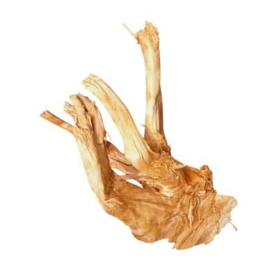 Frilagd Tuskwood akvarierot WYSIWYG äkta bogwood 38 cm P032619 mot vit bakgrund