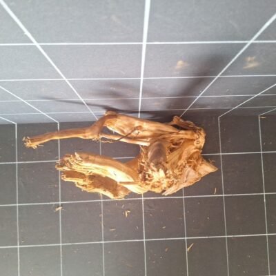 Tuskwood akvarierot äkta bogwood 38 cm P032619 sedd ovanifrån