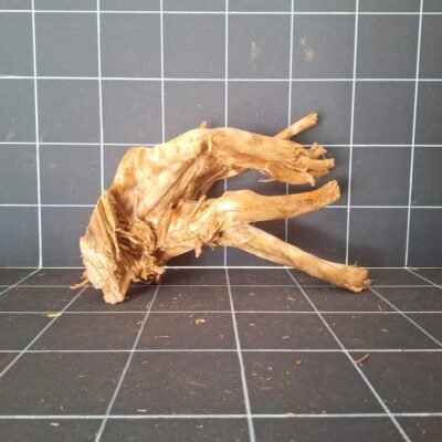 Tuskwood akvarierot WYSIWYG äkta bogwood 38 cm P032619
