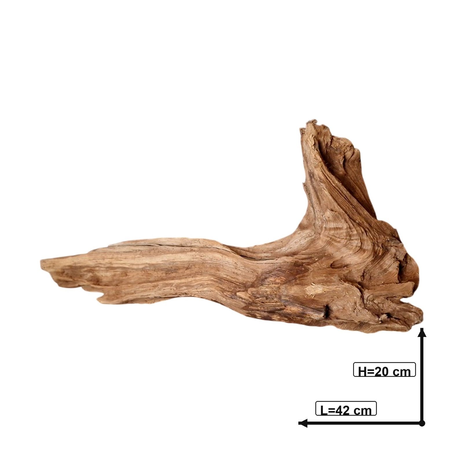 Tuskwood Akvarierot WYSIWYG Äkta Bogwood Unik 42 cm P032620 - Billede 4