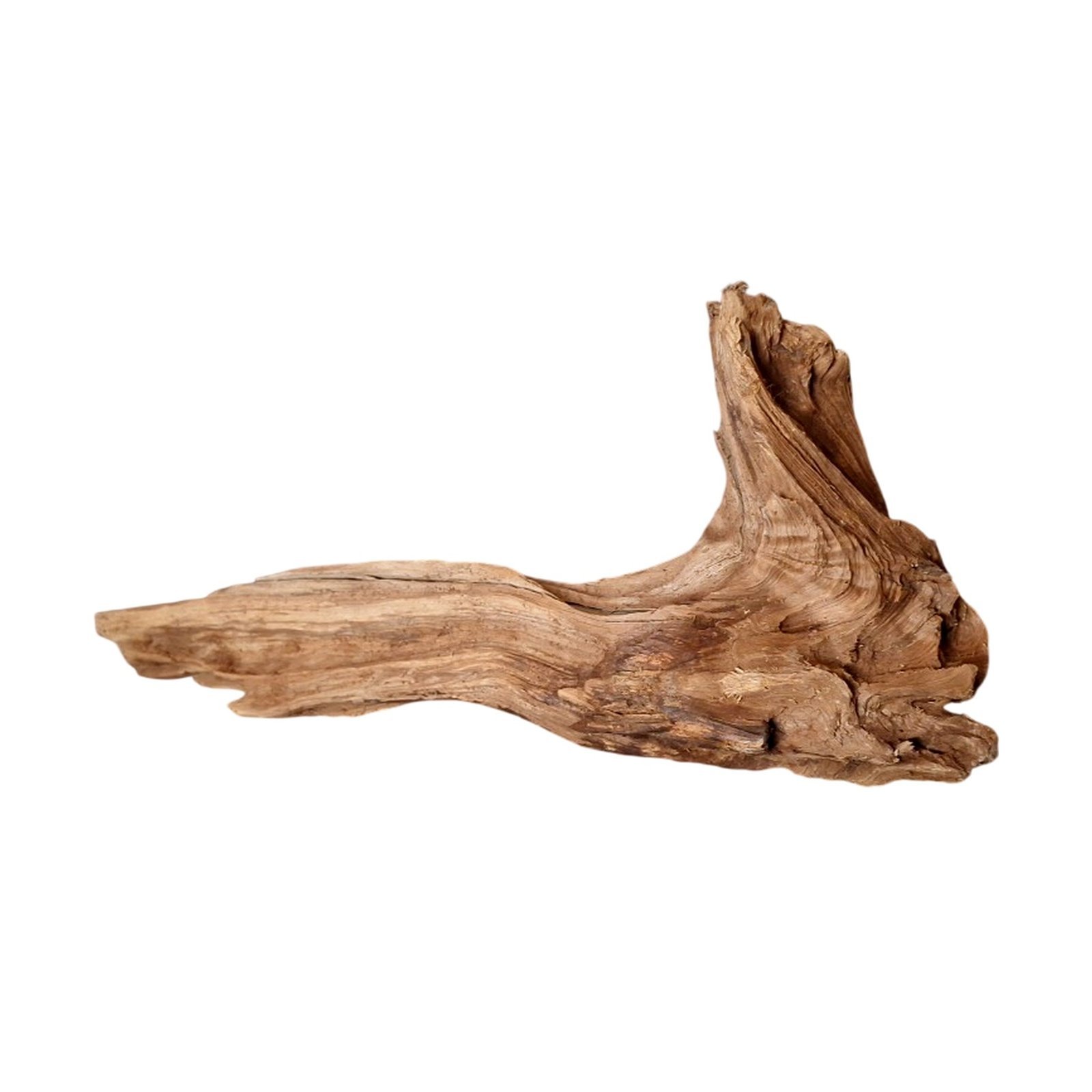 Tuskwood Akvarierot WYSIWYG Äkta Bogwood Unik 42 cm P032620 - Billede 8