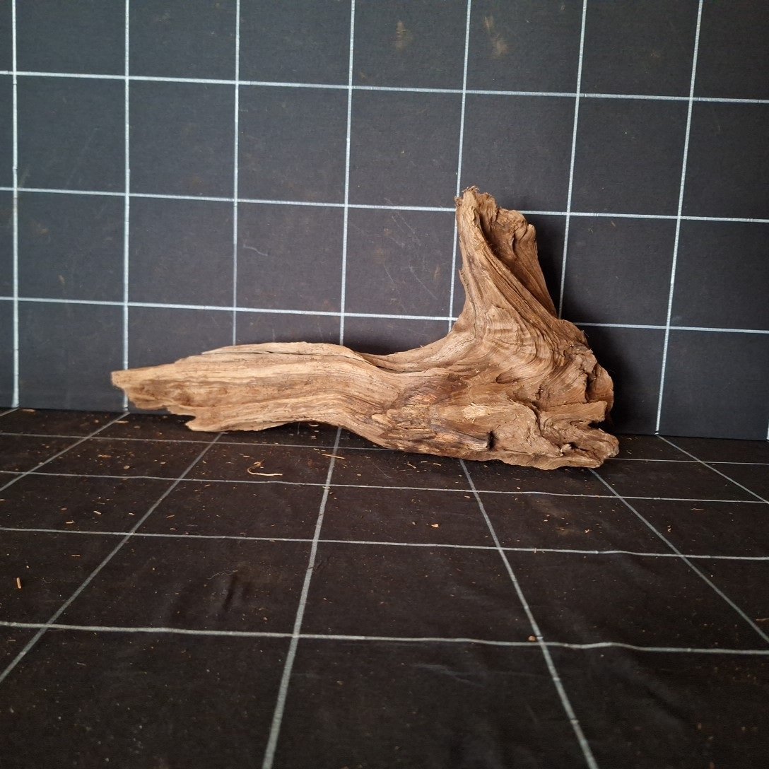 Tuskwood Akvarierot WYSIWYG Äkta Bogwood Unik 42 cm P032620 - Billede 5